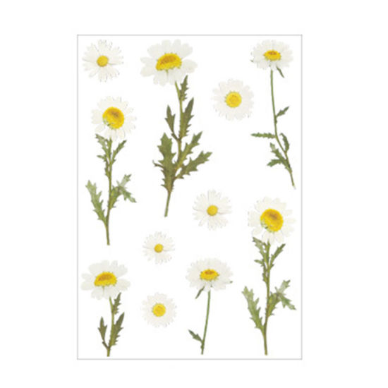 Picture of DIY Scrapbook Deco Stickers White & Yellow Daisy Flower 15cm x 10.5cm, 1 Set