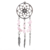 Imagen de Zamak Colgantes Capta Sueño Plata Antigua Rosado Pluma 10.1cm x 3.5cm, 1 Unidad