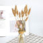 Picture of Real Dried Flower Artificial Flower Ginger 55cm, 1 Bundle ( 20 PCs/Bundle)