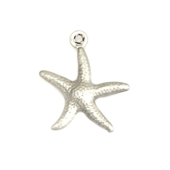 Picture of Stainless Steel Ocean Jewelry Charms Star Fish 