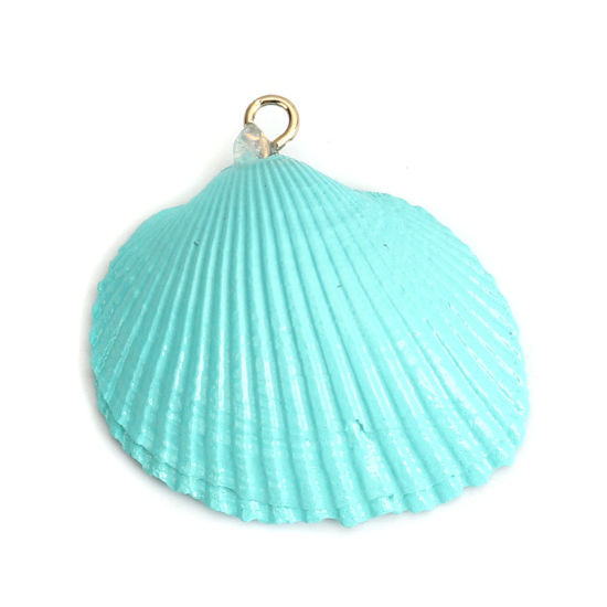 Image de Pendentifs Naturel en Coquille Bleu Clair 3.3cm x 2.4cm, 5 Pcs