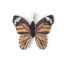 Picture of Brass Pendants Butterfly Animal Silver Plated Orange 31mm x28mm(1 2/8" x1 1/8") - 30mm x26mm(1 1/8" x1"), 2 PCs