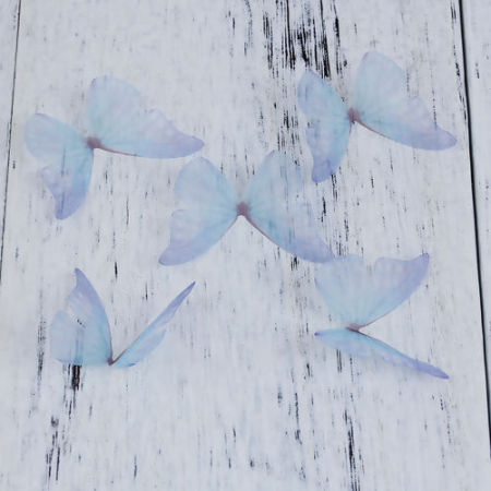 Organza For DIY & Craft &Ethereal Butterfly 