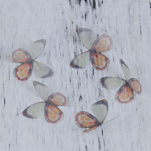 オーガンザ DIY クラフト  リアル 蝶 の画像