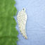 Image de Pendentifs en Alliage de Zinc Aile d'Ange Argent Vieilli Rayées 30mm x 10mm, 40 Pcs