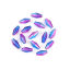 Immagine di Vetro Perline Vaso Blu Scuro & Rosso Prugna Doppio Colore Sezione Circa 11mm x 6mm, Foro: Circa 1.5mm, 50 Pz