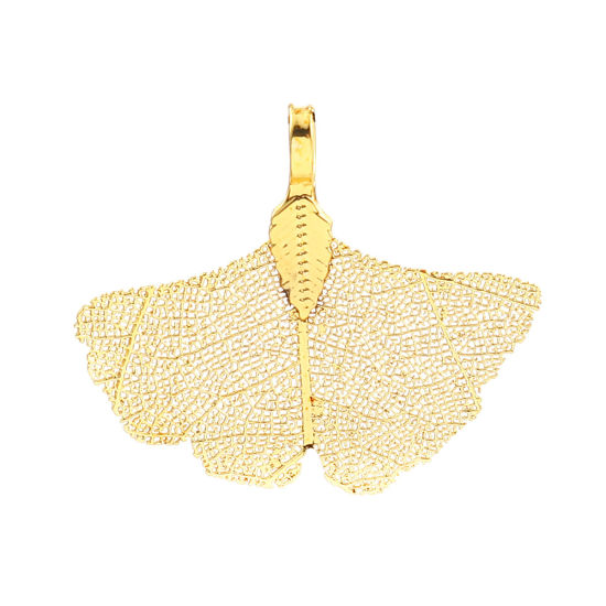 Immagine di Ottone & Foglia Naturale Ciondoli Foglia di Gingko Argento Placcato 40mmx 34mm, 2 Pz