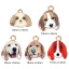 Picture of Zinc Based Alloy Charms Labrador Retriever Dog 