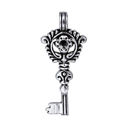 Immagine di Lega di Zinco Ciondoli Chiave Argento Antico Intagliato (Addetti ss16 Strass) 46mm x 20mm , 10 Pz