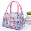 Picture of Alpaca Lady Cartoon Waterproof Lunch Bag