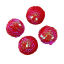 Imagen de Espuma de Paillette Sequin Cuentas Bola , Fucsia , AB Color 3.2cm Diámetro, Agujero: acerca de Sin Agujero, 5 Unidades