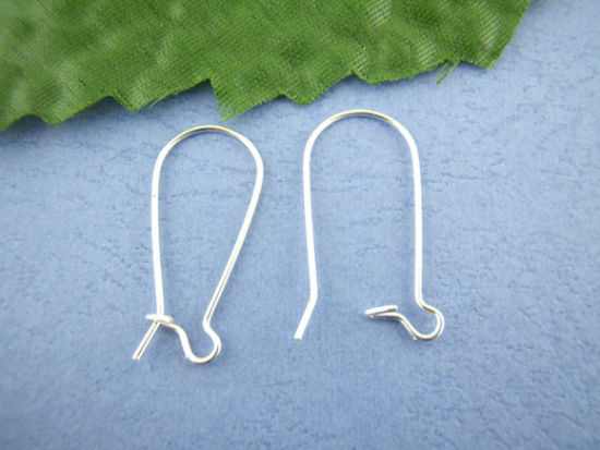 Picture of Alloy Kidney Ear Wire Hooks Earring Findings 