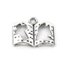 Picture of Zinc Based Alloy Charms Book Antique Silver Color Cross Hollow 17mm x 14mm, 100 PCs