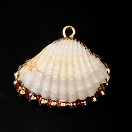 Natural Shell Charms At Random 
