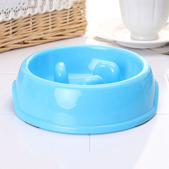 Bild von Blau - Haustier Hund Katze Tier Nahrung Wasser Teller Spielraum bewegliche Zufuhr Futterschüssel