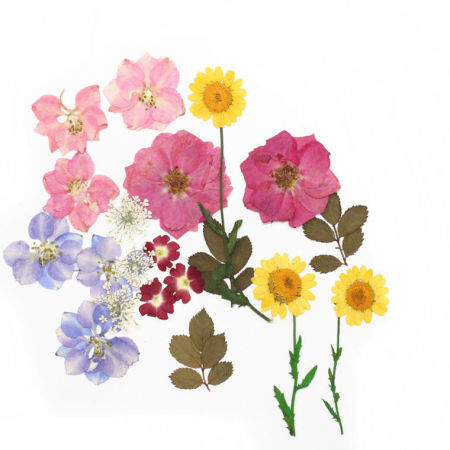 Сухие Цветы Смолевая Ремесла Заполняющий Материал Смешение Разноцветный 10cm x 3cm - 1.6cm, 1 Пакет ( 20 ШТ/Пачка)