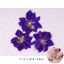 Image de Décoration des Ongles en Fleurs Séchées Prune, 1 Kit ( 3 Pcs/Kit)