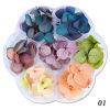 Imagen de Real Dried Flower Nail Art Decoration DIY Craft