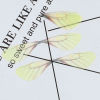 Picture of Organza Ethereal Butterfly For DIY Craft Dragonfly Animal Wing Transparent
