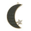 Immagine di Metallo lega di zinco & PU Galassia Ciondoli Luna Oro Placcato Verde Scuro Stampa di Coccodrillo Trasparente Strass 3.9cm x 2.3cm, 5 Pz