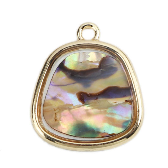 Picture of Natural Abalone Shell Charms Irregular Multicolor Crack