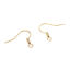 Picture of Stainless Steel Ear Wire Hooks Earring Findings Hook W/ Loop 