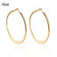 Picture of Hoop Earrings Circle Ring