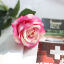 Light Pink - Silk peony bouquet home decoration accessories wedding party scrapbook fake plants diy pompons artificial roses flowers 51cm long，1 stick