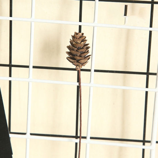 Imagen de Coffee - Natural Dried Flowers Pine Cone Acorn Wholesale Artificial Flower For Home Christmas DIY Garland Wreath Wedding Decoration 41.5CM Long，5 sticks