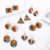 Picture of Earrings Multicolor Geometric 1 Pair
