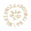 Image de Copper Charms Gold Filled Capital Alphabet/ Letter Clear Rhinestone 13mm x 8mm, 5 PCs