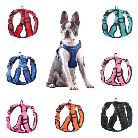 Mesh Fabric Pet Vest Harness Chest Strap Multicolor