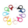 Picture of Iron Based Alloy Lobster Clasp Findings 10 PCs