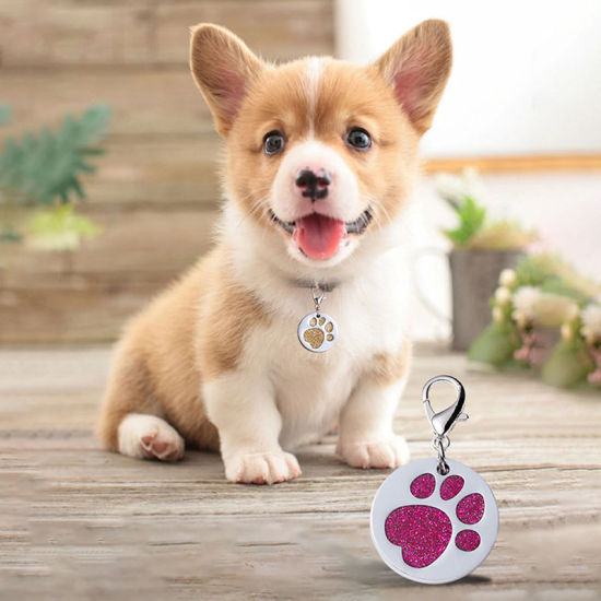 Immagine di Zinc Based Alloy Pet Memorial