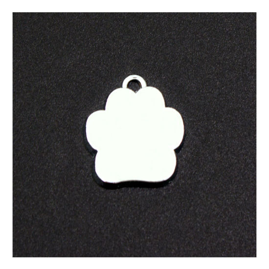 Immagine di Zinc Based Alloy Pet Memorial Silver Tone 5 PCs