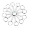 Picture of 304 Stainless Steel Birthstone Keychain & Keyring Circle Ring Silver Tone Rectangle Blank Stamping Tags Multicolor Rhinestone 65mm, 1 Piece