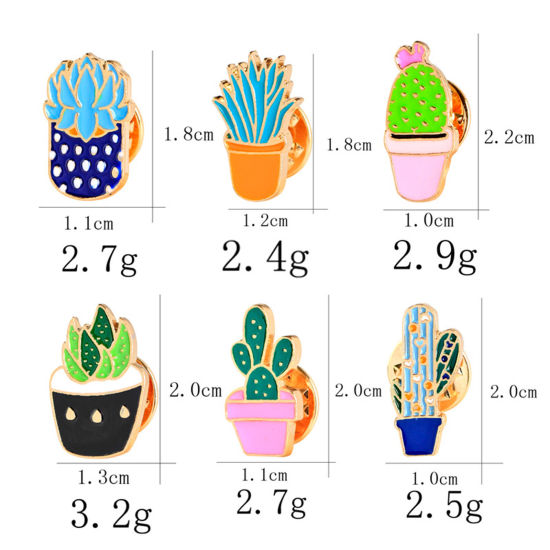 ブローチ 多肉植物 1 個 の画像