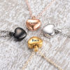 Imagen de Acero Inoxidable Cremación Pet Ash Urn Colgantes Charms 1 Unidad