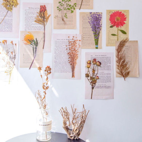 Bild von PET Geschenk Serie Pflanze Blume DIY Scrapbook Deko Aufkleber