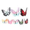 Picture of Resin Insect Charms Butterfly Animal Foil 23mm x 21mm, 5 PCs