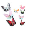 Picture of Resin Insect Charms Butterfly Animal Foil 23mm x 21mm, 5 PCs