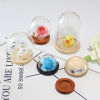 Bild von Glaskugel Flasche Für Ohrring Ring Halskette Wunschflasche 1 Set