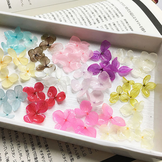 Picture of Handmade Resin Jewelry Real Flower Dried Flower Decoration Hydrangea Flower 3cm - 0.8cm, 2 PCs