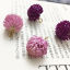 Bild von Zinklegierung Handgemachte Harz Schmuck Echte Blume Anhänger 2 Stück