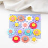 Picture of Acrylic Charms 5 PCs