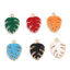 Imagen de Latón Lentejuelas Esmaltadas Colgantes Charms 5 Unidades