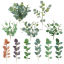 Image de Simulation Feuille D'Eucalyptus Bricolage Décoration De Fond De Mur De Plante De Mariage