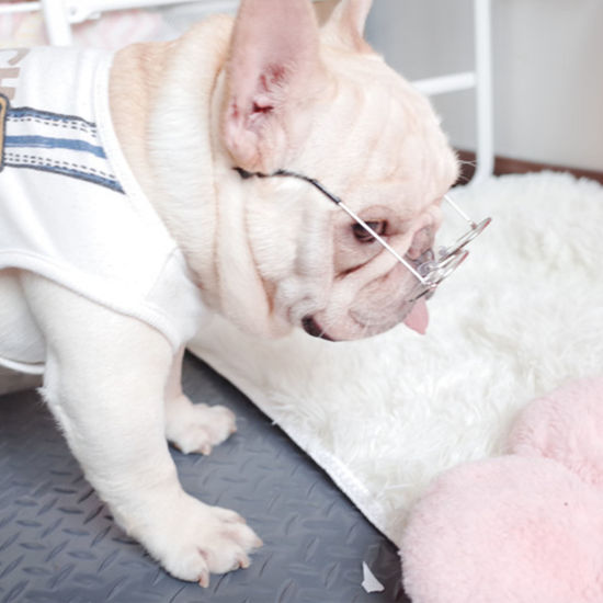 Изображение Round Glasses Dog Cat Pet Supplies Funny Photo Props