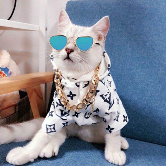 Bild von Polarisierte Gläser Sonnenbrille Hund Katze Haustier liefert lustige Foto Requisiten