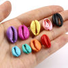 Picture of Natural Shell Charms Shell Multicolor
